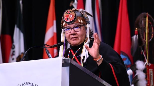 AFN Executive Committee to recommend nationally