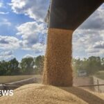 EU rejects grain ban Ukraine by Poland and