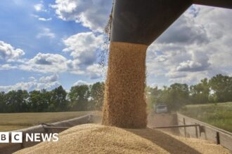 EU rejects grain ban Ukraine by Poland and