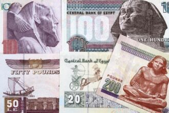 Egyptian pound price is expected to fall to LE34 by