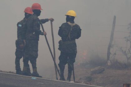 Fires have affected 62,000 hectares of