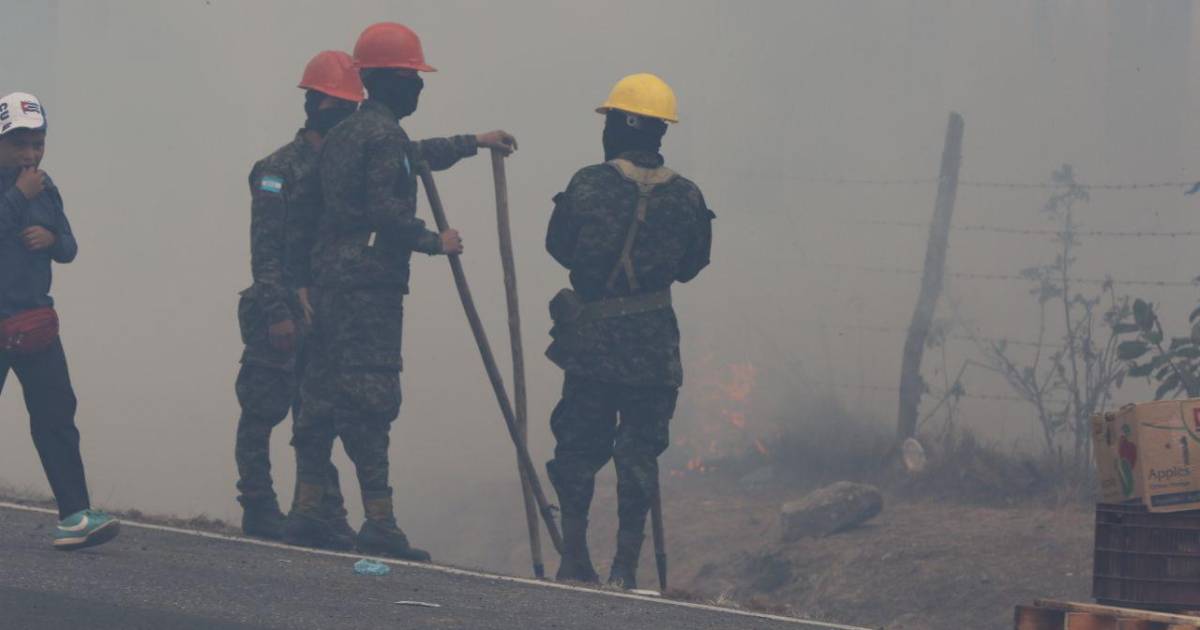 Fires have affected 62,000 hectares of