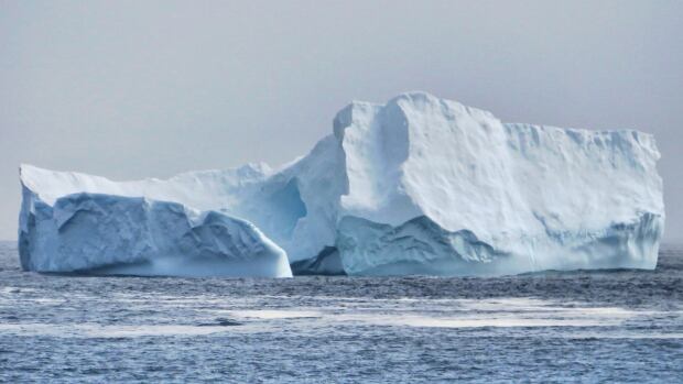 Fogberg: Picturesque iceberg in foggy Ferryland