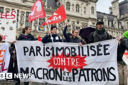 France pension reforms: Constitutional Council