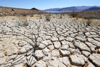 Human remains found at Lake Mead identified as