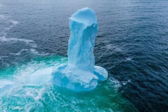 Iceberg aficionados are going wild over viral photos of the