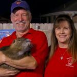 Louisiana couple keep rescued pet rodent