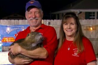 Louisiana couple keep rescued pet rodent