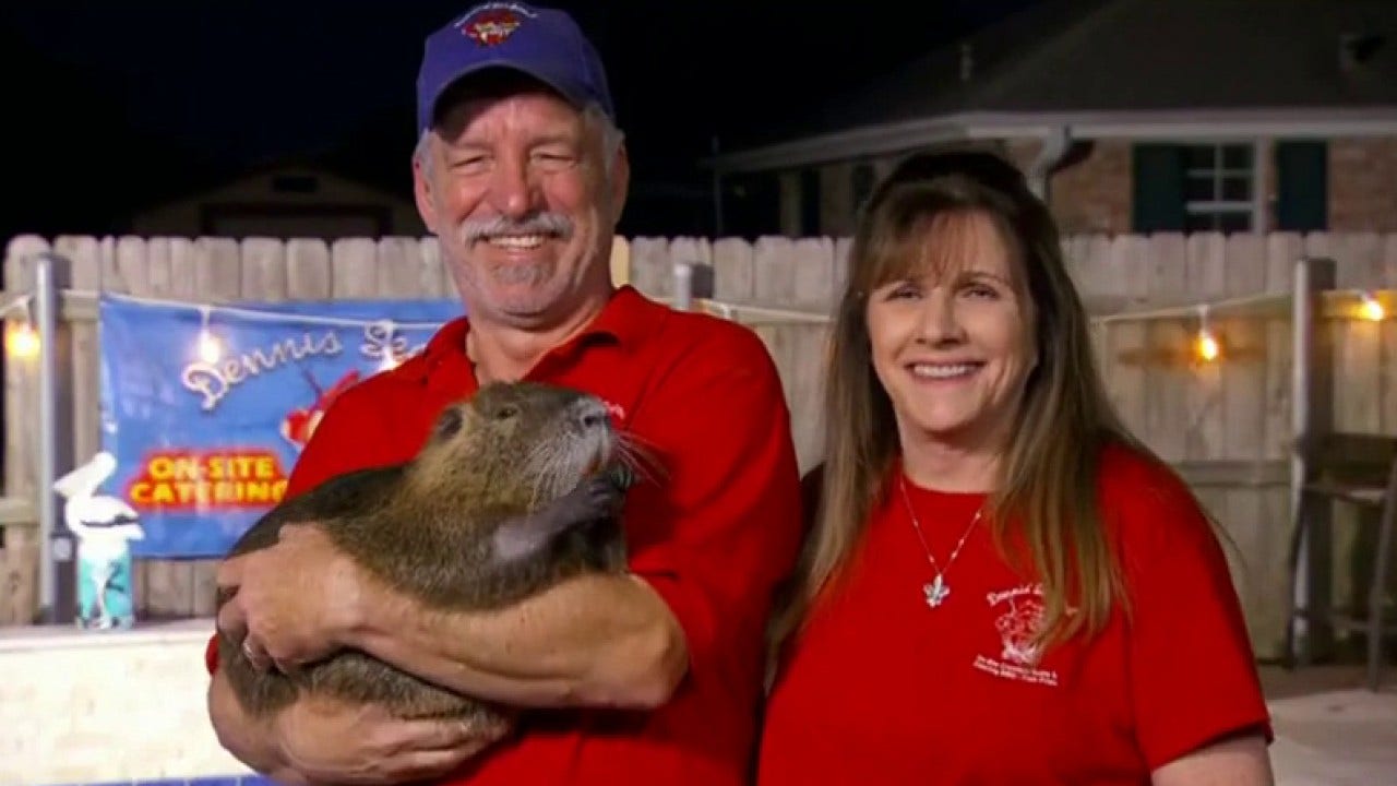 Louisiana couple keep rescued pet rodent