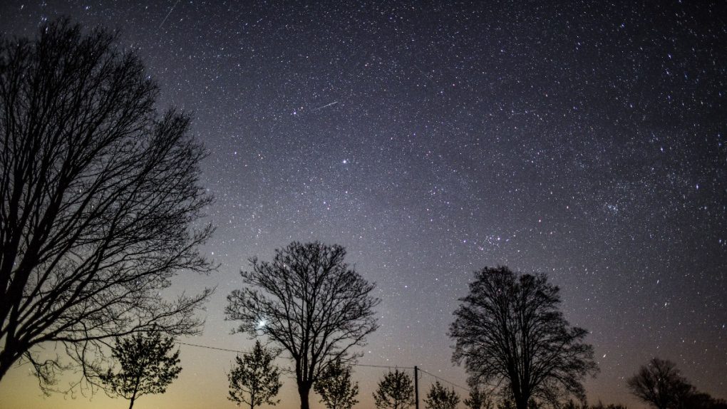 Meteor shower: Lyrids peak this weekend