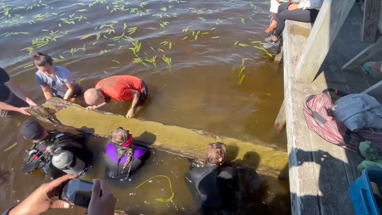 North Carolina archaeologists, Waccamaw Siouan