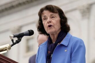 Senator Dianne Feinstein faces the first calls to