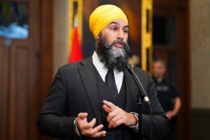 Singh hopes to tax companies where CEO makes