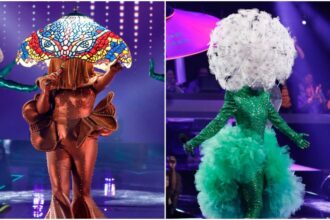 ‘The Masked Singer’ Season 9 Episode 9 Recap: