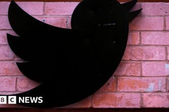 Twitter cuts leave Russian trolls behind