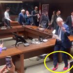 Twitter fires male legislators for wearing pink