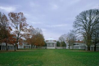 UVA graduate talks about ‘huge impact’ of BLM activists