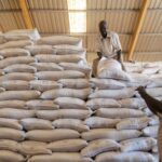 WFP chief halts aid operations in Sudan
