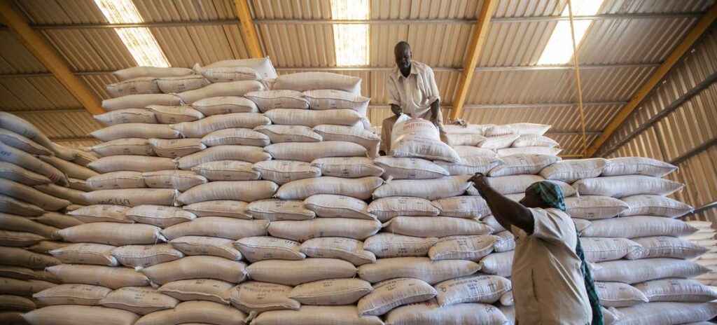 WFP chief halts aid operations in Sudan