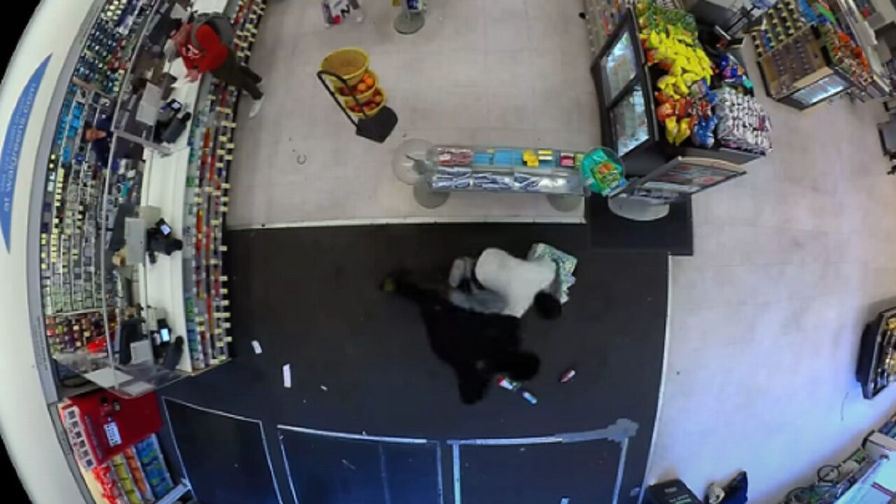 San Francisco DA releases video from Walgreens