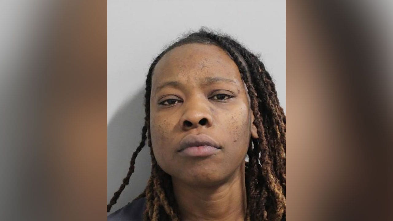 Florida woman is charged with driving under the influence after flipping out