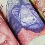 South Africa’s budget has a political problem