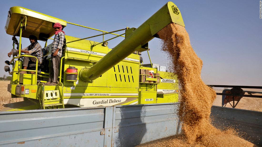 Egypt’s annual average wheat imports in 5 years