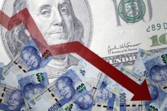 Rand hits new low after BRICS summit immunity