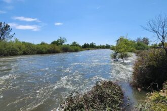 4-year-old boy swept away in California river