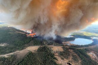 Canadian Alberta declares a state of emergency