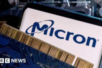 China bans major chipmaker Micron from key