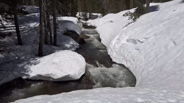 Creeks flow into the Sierra Nevada like melting
