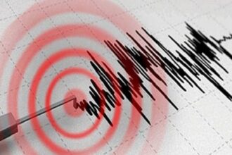 Earthquake tremors are felt near Puka, here