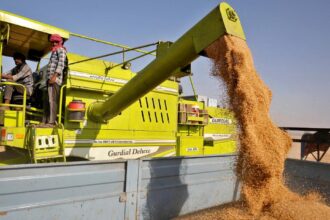 Egypt’s annual average wheat imports in 5 years