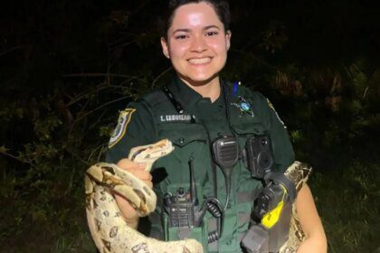 Florida deputy rescues escaped six-foot boa