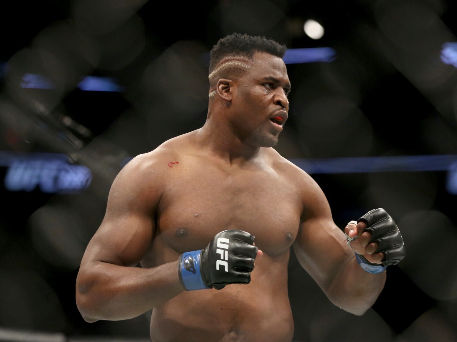 Former UFC heavyweight champion Francis Ngannou