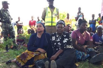 Hippo capsizes boat in Malawi;  toddler dead, 23