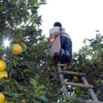 Honduras, on the verge of a shortage of