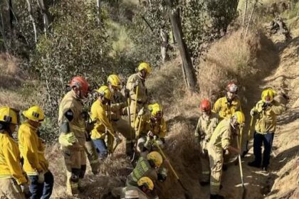 Horse, stuck upside down in ditch, is rescued by