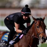 Horse trained by Bob Baffert euthanized on track