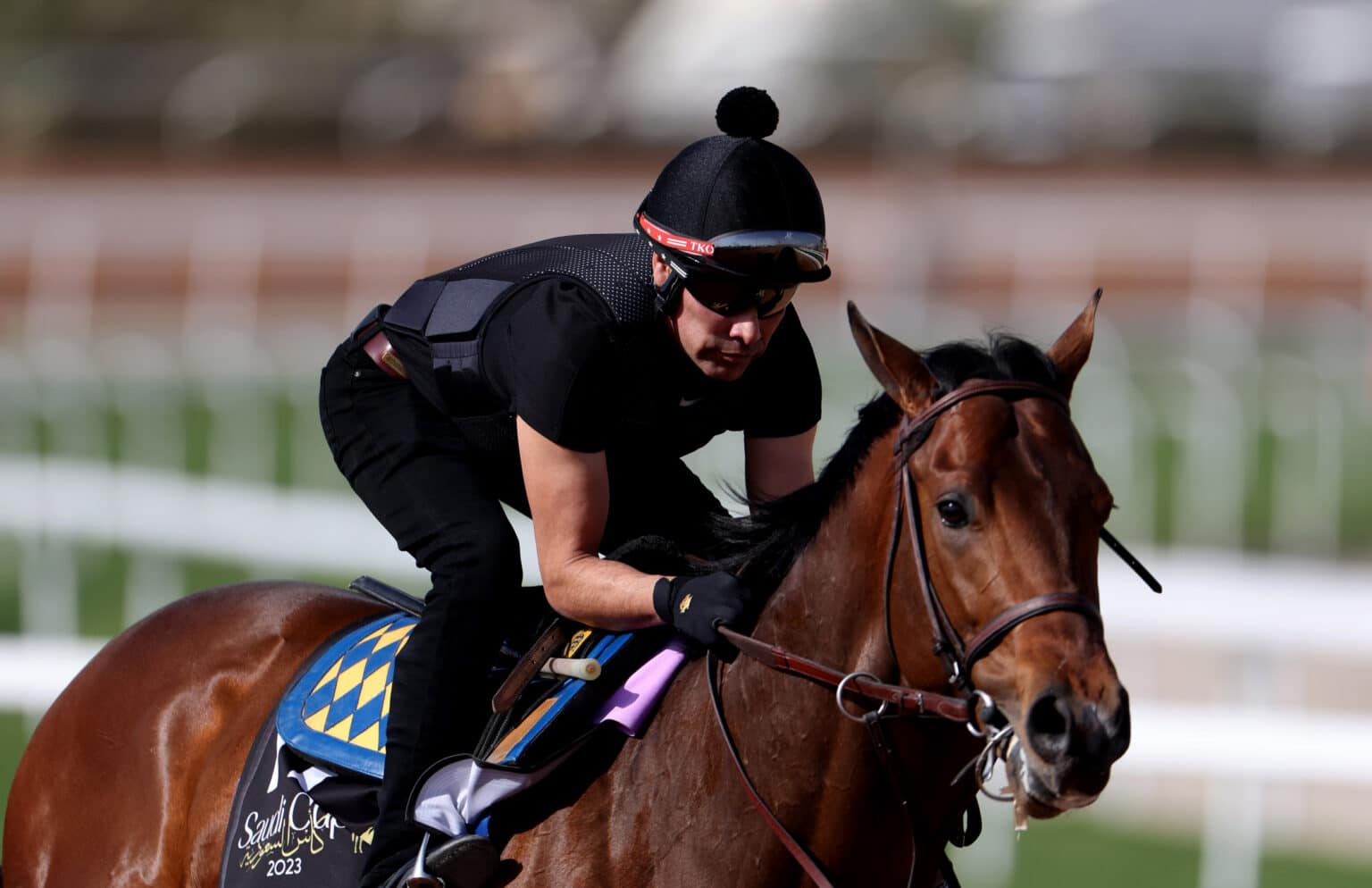 Horse trained by Bob Baffert euthanized on track