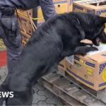Italian police find huge stash of cocaine hidden inside