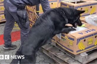 Italian police find huge stash of cocaine hidden inside