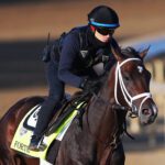Kentucky Derby races on amid 6th dead and