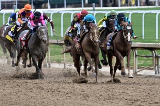 Mage wins Kentucky Derby, seven horse kills