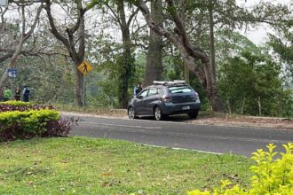 Man killed after being lowered from his car in