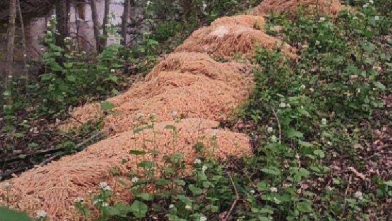 New Jersey resident finds huge piles of dumped material