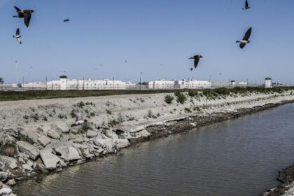 Newsom announces funding to raise Corcoran levee