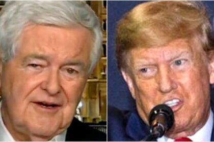 Newt Gingrich’s accidental burning of Donald