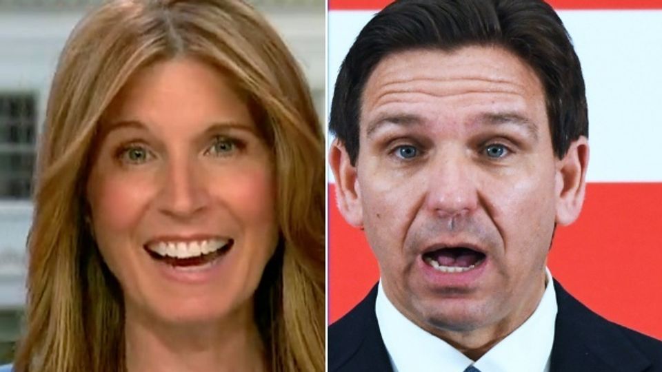 Nicolle Wallace literally laughs out loud at Ron